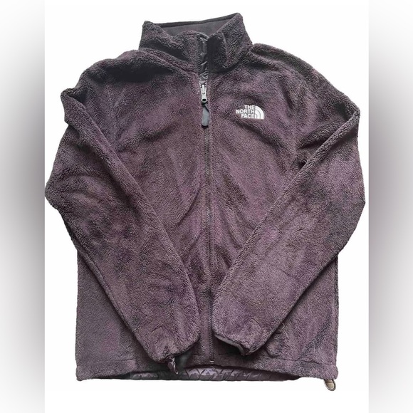 The North Face Jackets & Blazers - The North Face Women's Purple Jacket